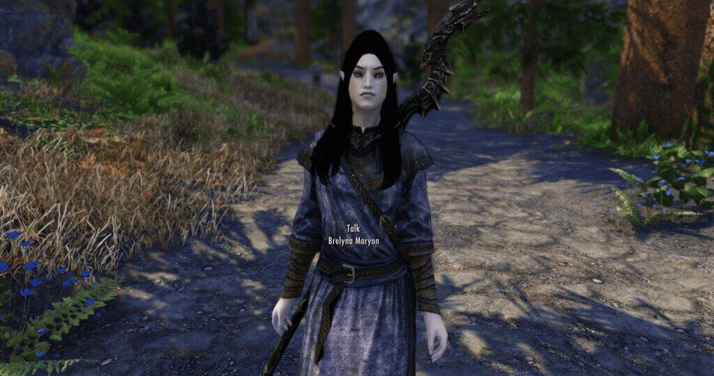 Skyrim Brelyna