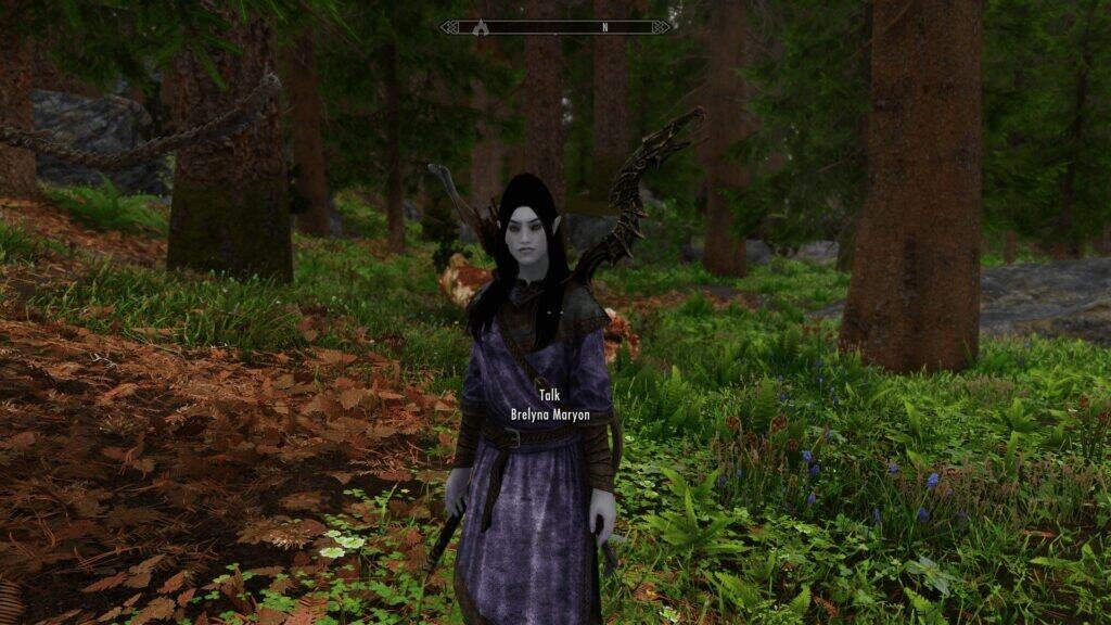 Follower Brelyna