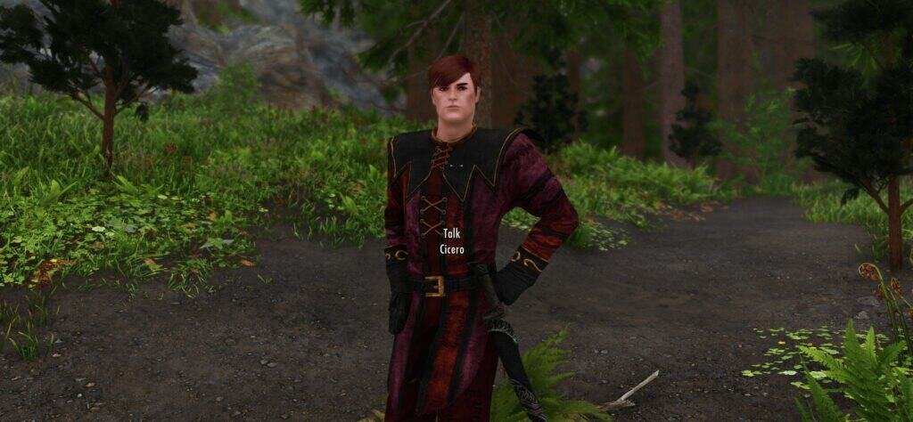 Follower Cicero