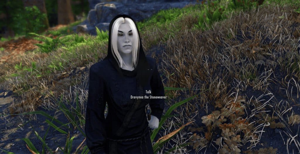 Skyrim Dravynea