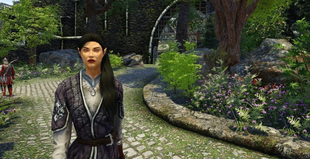 Skyrim Taarie